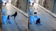 Viral Video: राह चलते हुए शख्स ने कुत्ते को लात से मारने की कोशिश की, तुरंत मिला कर्म का फल